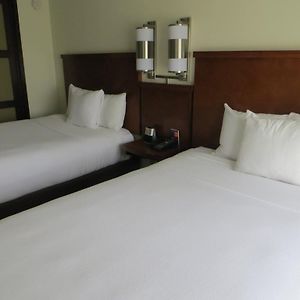 Double Room Two Double Beds Sofa bed High Floor