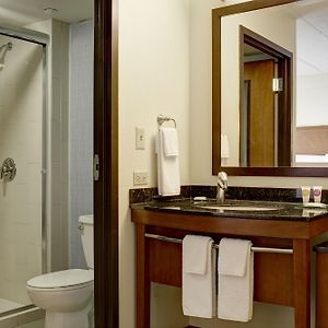 King Room Sofa Bed Accessible Tub Disability Access