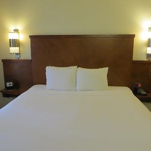 King Room Sofa Bed High Floor